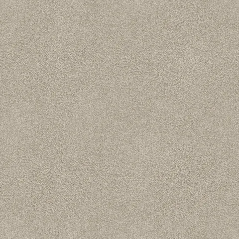 Angora carpet swatch